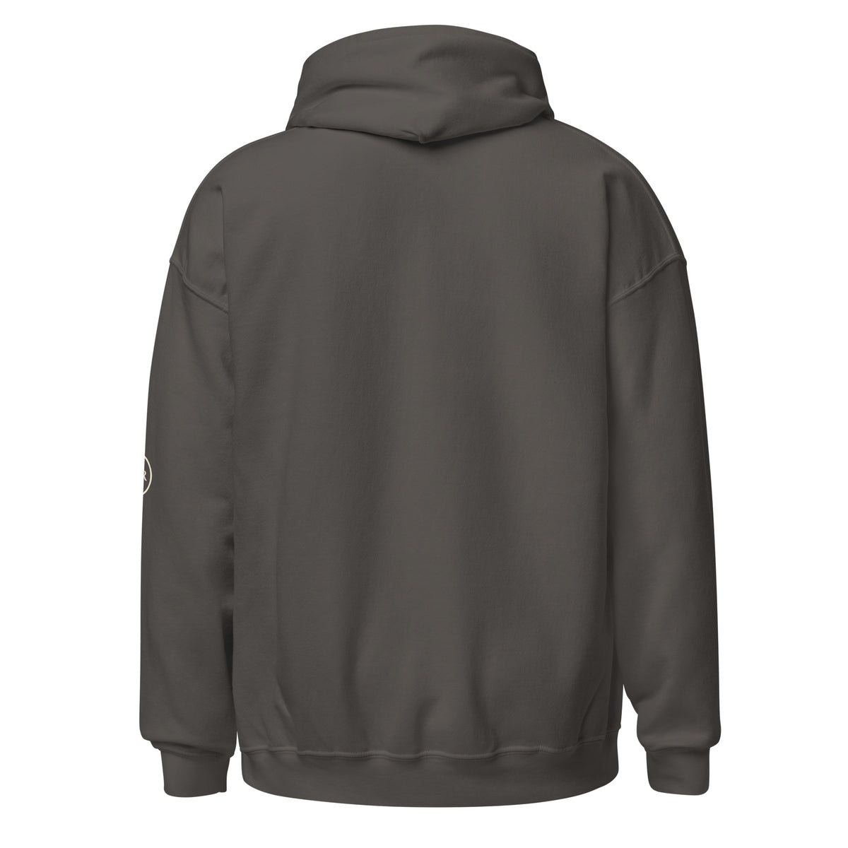 Purpose — Walk by Faith Hoodie in Charcoal, Back