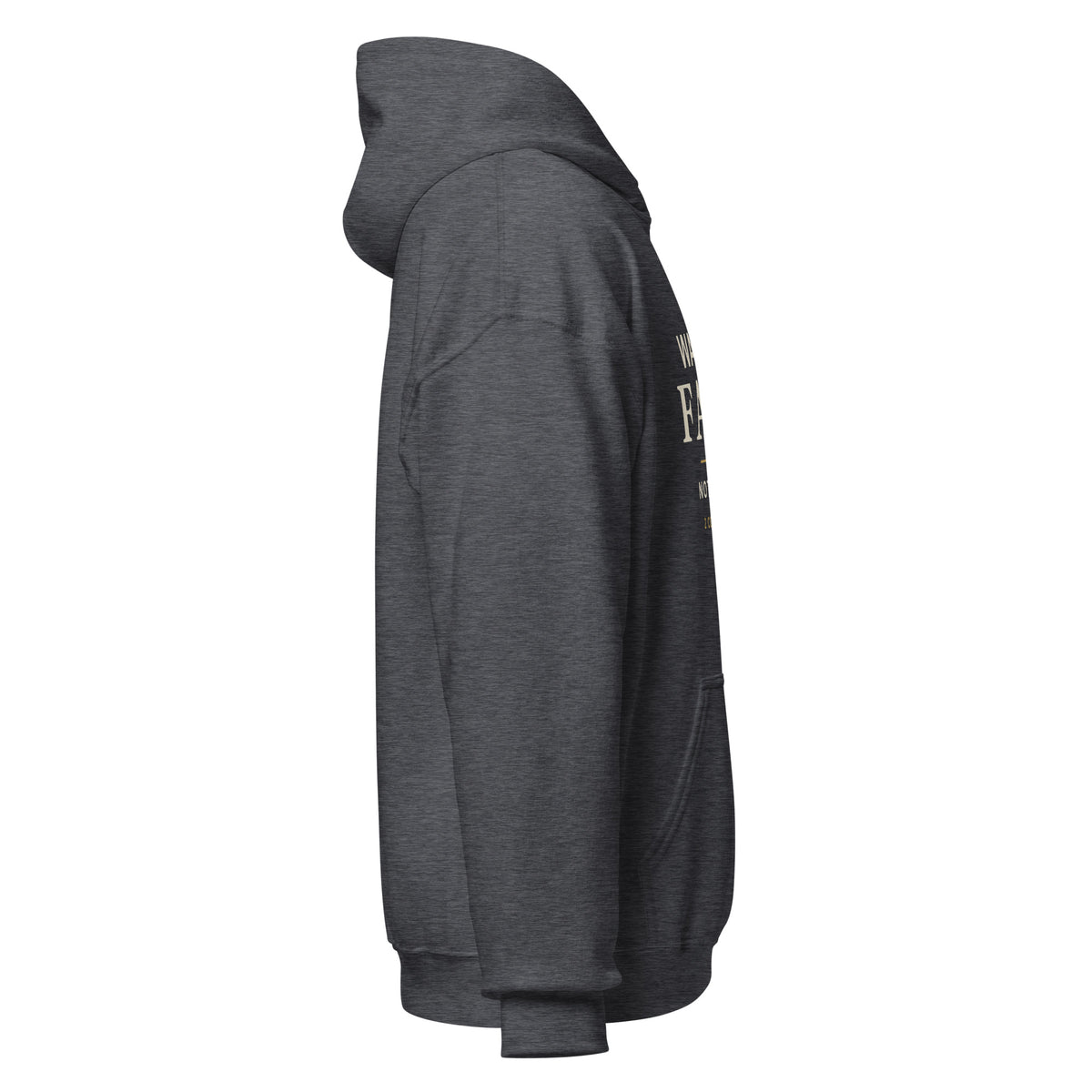 Purpose — Walk by Faith Hoodie in Dark Heather, Right